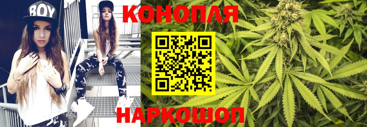 Каннабис OG Kush Елизово